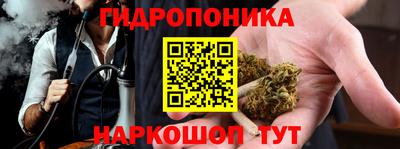 прущие грибы Обь