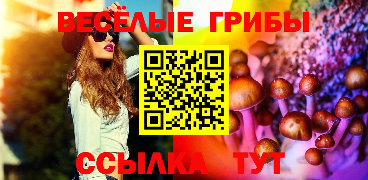 Сибай  Галлюциногенные грибы Cubensis  магазин продажи наркотиков  Галлюциногенные грибы мухоморы  Вход с VPN 