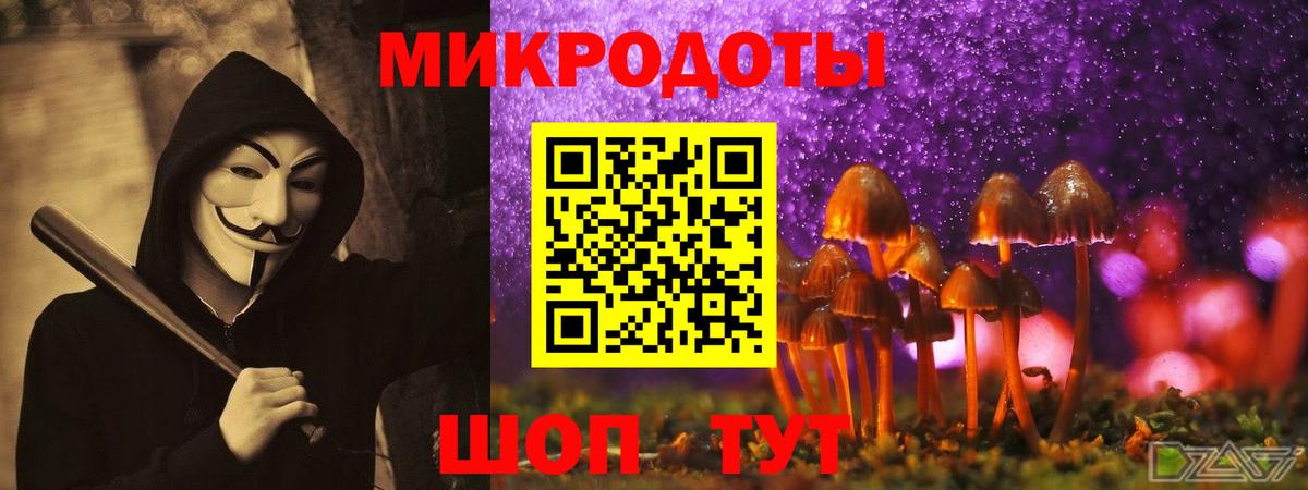 Псилоцибиновые грибы MAGIC MUSHROOMS Сибай